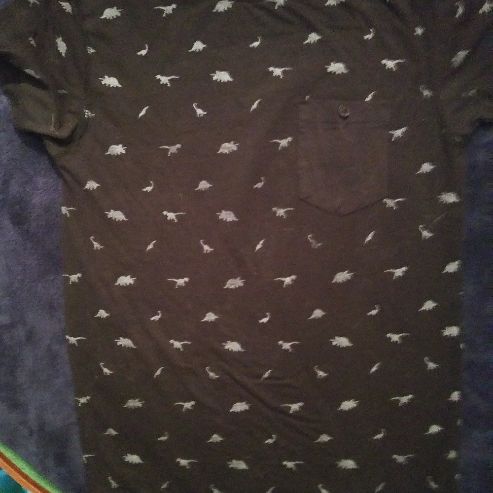 Dinosaur T-shirt
